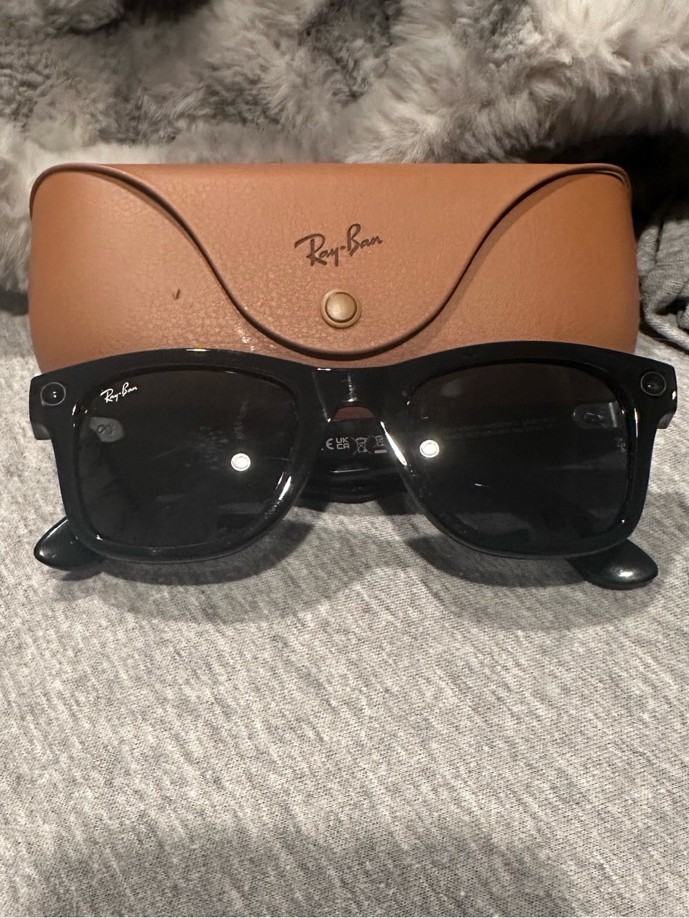 Ray-Ban meta Wayfarer glasses